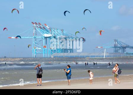 Kite surf a Zeebrugge, Belgio, Fiandre Occidentali, Blankenberge Foto Stock