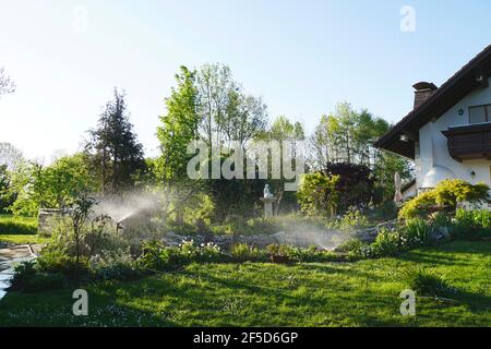 Innaffiatura artificiale di prato e aiuole in giardino, Germania Foto Stock