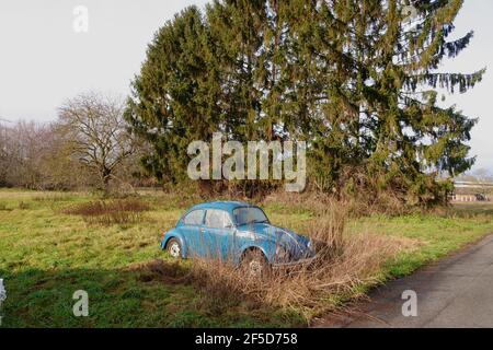 Naufragio in un prato, pericolo per l'ambiente, contaminazione a causa di perdite di olio, carburante o acido della batteria, Germania Foto Stock