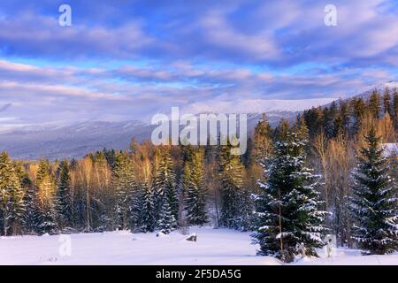 Paesaggio montano invernale, Polonia, Europa. Panorama dei Monti Giganti nella soleggiata giornata invernale, vista da Biała Dolina a Szklarska Poreba su Szrenica Foto Stock