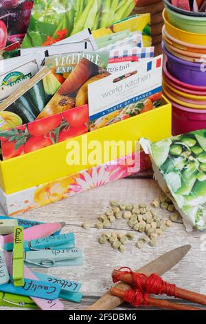 I pacchetti di semi nella scatola di stoccaggio sono stati ordinati per la semina a molla. REGNO UNITO. Foto Stock