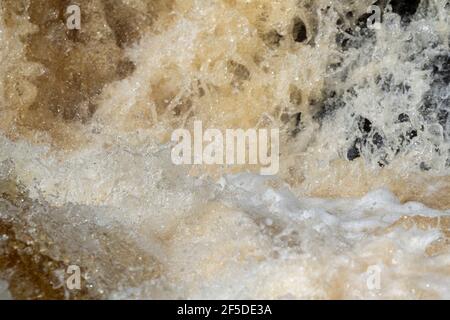 Cascata sul fiume Ribble dopo autunnal downpour, churning acqua, North Yorkshire, Regno Unito Foto Stock