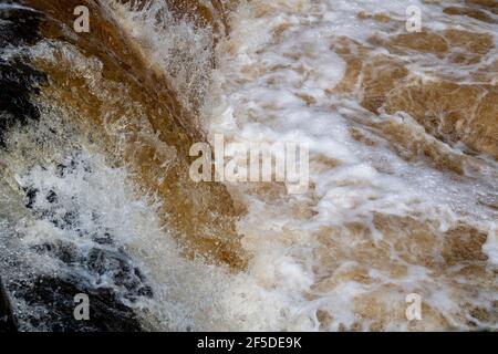 Cascata sul fiume Ribble dopo autunnal downpour, churning acqua, North Yorkshire, Regno Unito Foto Stock