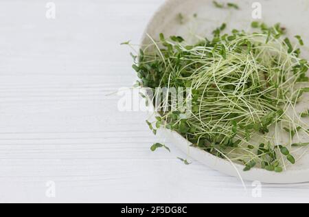 Fresco germogli di lino piatto moderno su sfondo di legno bianco, copia spazio. Germogli di lino o di lino, micro verde. Coltivare i micrograni a casa. Foto Stock