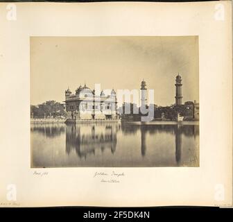 Amritsar; il Tempio d'Oro. Vista dello Sri Harmandir Sahib, o del Tempio d'Oro, dall'altra parte dell'acqua di sarovar. Il tempio presenta un tetto leggermente a cupola circondato da torri ai quattro angoli, ciascuna con un chattri, o padiglione a cupola, in cima. Due minareti si innalzano sopra gli alberi che crescono sul lato destro della piscina sacra, mentre la strada rialzata che conduce all'edificio del tempio è visibile sulla sinistra. (Recto, immagine) in basso a destra, scritto a mano in negativo: '407' (recto, mount) in basso a sinistra, scritto a mano in inchiostro nero: 'Novr /66' in basso a sinistra, scritto a mano in matita: 'A42.19 (Bou)' in basso al centro, scritto a mano Foto Stock