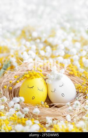 due uova bianche e gialle pasquali con cute faccia dipinta in nido tra fiori bianchi e gialli. gypsophila e mimosa. cartolina Foto Stock