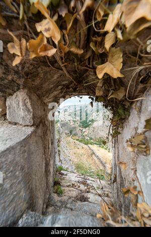 Piante rampicanti che crescono intorno all'apertura dei bastioni difensivi dell'antico forte veneziano del XVI secolo. Foto Stock