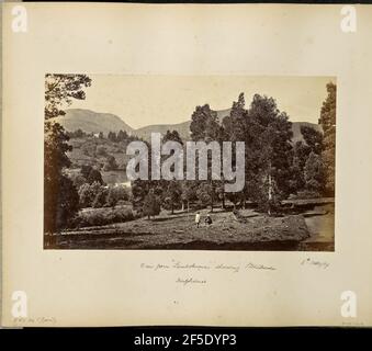 Ootacamund; Vista da 'Lambsknowe' che mostra Stonehouse. Vista del paesaggio da Lambsknowe. Due uomini sono visibili su un prato erboso in primo piano, delimitato a destra da un percorso sterrato curvo che corre dietro un gruppo di alberi. Un lago è parzialmente visibile in lontananza a sinistra e, più lontano, Casa di pietra può essere visto in cima ad una collina. (Recto, immagine) in basso a destra, scritto a mano in negativo: '1986' (recto, mount) in basso a sinistra, scritto a mano in matita: 'A42.76 (Bou)' in basso al centro, scritto a mano in inchiostro nero: 'Vista da 'Lambsknowe' che mostra Stonehouse / Neilgherries' in basso a destra scritto a mano in bl Foto Stock