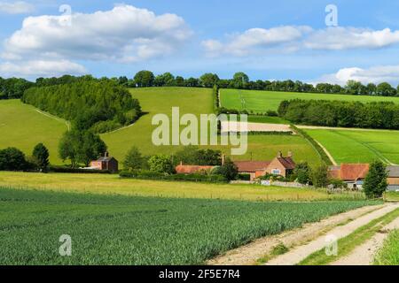 Guardando verso Valley End Farm a Bix Bottom nelle panoramiche Chiltern Hills vicino a Henley; Bix Bottom, Henley-on-Thames, Oxfordshire, Regno Unito Foto Stock