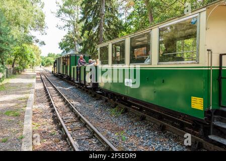 La ferrovia a vapore a scartamento ridotto a Rille nel Pays De la Loire, regione della Francia Foto Stock