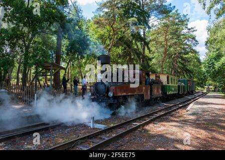 La ferrovia a vapore a scartamento ridotto a Rille nel Pays De la Loire, regione della Francia Foto Stock