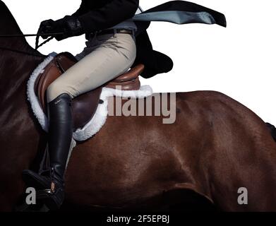 Astratto arte del cavallo i9n galoppo completo nel concorso Foto Stock