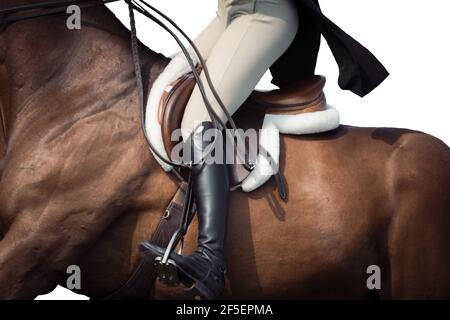 Astratto arte del cavallo i9n galoppo completo nel concorso Foto Stock