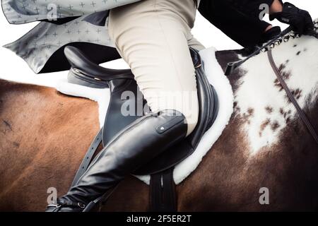 Astratto arte del cavallo i9n galoppo completo nel concorso Foto Stock