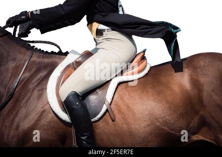 Astratto arte del cavallo i9n galoppo completo nel concorso Foto Stock