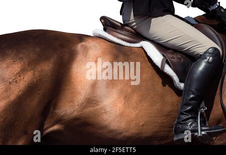 Astratto arte del cavallo i9n galoppo completo nel concorso Foto Stock