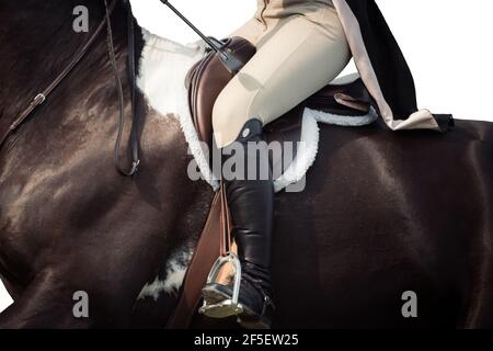 Astratto arte del cavallo i9n galoppo completo nel concorso Foto Stock