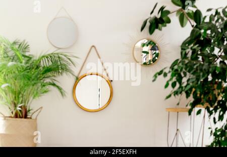 angolo verde con piante interne della casa. Specchi rotondi nell'interior.ficus in una pentola di vimini. Fiori su uno stand. Grande albero verde a casa. Foto Stock