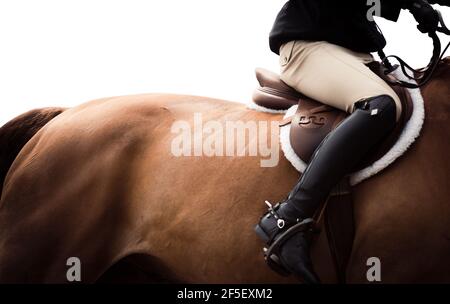 Astratto arte del cavallo i9n galoppo completo nel concorso Foto Stock