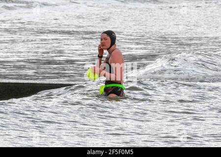 Lyme Regis, Dorset, Regno Unito. 26 Marzo 2021. Regno Unito Meteo. Un nuotatore emerge dal mare dopo aver fatto un tuffo in un pomeriggio fresco con occasionali incantesimi di sole a Lyme Regis in Dorset durante il blocco Covid-19. Picture Credit: Graham Hunt/Alamy Live News Foto Stock