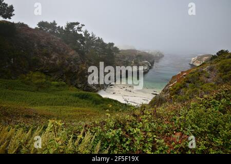 Paesaggio con vista panoramica di China Cove, l'insenatura verde smeraldo con una piccola spiaggia tascabile nella Riserva Naturale di Point Lobos, California USA. Foto Stock