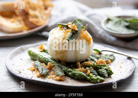 Mozzarella di bufala con aglio pungattato e salvia sugli asparagi Foto Stock
