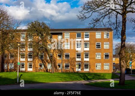Fallowfield Halls of Residence nel campus dell'Università di Manchester Inghilterra Regno Unito Foto Stock