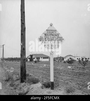 Segnale sulla strada che entra in California dove ora c'è ispezione di quarantena delle piante. Entrando nella contea di Riverside, California. Maggio 1937.Fotografia di Dorotea Lange. Foto Stock