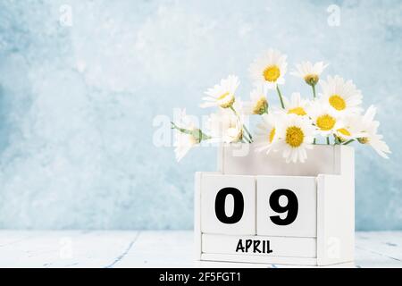 Calendario cubo bianco per aprile decorato con fiori margherita sopra sfondo blu con spazio per la copia Foto Stock