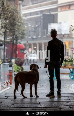 Un uomo e il suo cane si affacciano su una piazza deserta di Covent Garden durante una doccia a pioggia primaverile, nel centro di Londra, in Inghilterra, nel Regno Unito Foto Stock