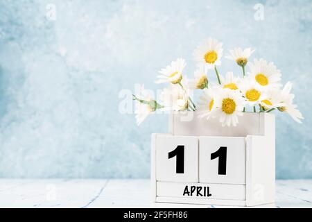 Calendario cubo bianco per aprile decorato con fiori margherita sopra sfondo blu con spazio per la copia Foto Stock