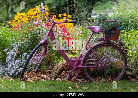 vecchia bicicletta decorata con fiori Foto Stock