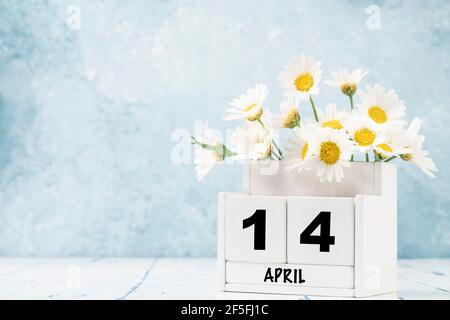 Calendario cubo bianco per aprile decorato con fiori margherita sopra sfondo blu con spazio per la copia Foto Stock
