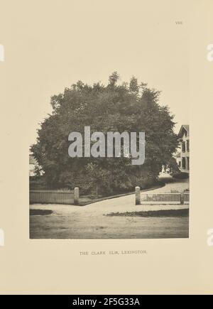 The Clark Elm, Lexington. Henry Brooks (americano, nato nel 1857) Foto Stock