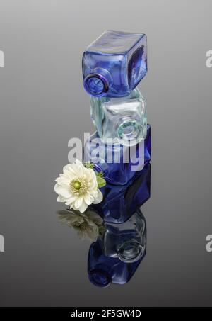 Piccoli flaconi in vetro impilati con Anemone bianco Foto Stock