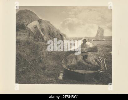 Ricking il Reed. Peter Henry Emerson (britannico, nato Cuba, 1856 - 1936) Foto Stock