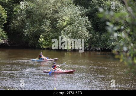 Canoa lungo il River Server , Shropshire, regno unito Foto Stock