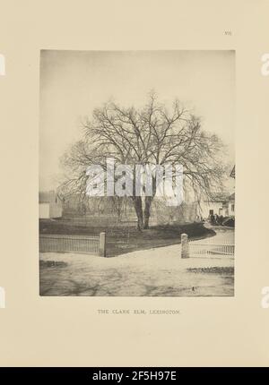 The Clark Elm, Lexington. Henry Brooks (americano, nato nel 1857) Foto Stock