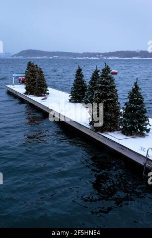 Le decorazioni dell'albero di Natale si trovano su un molo a Tjuvholmen, un quartiere situato sulla costa dell'Oslofjord, a Oslo, Norvegia Foto Stock