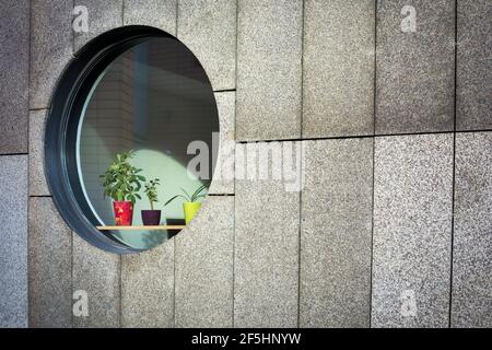 Finestra rotonda da ufficio sulla facciata di un moderno edificio grigio con piante. Le piante in vaso si trovano all'interno di un ufficio accanto a una finestra circolare per ricevere la luce Foto Stock