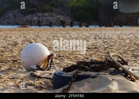 White Buoy legato a Rusty Chain sulla riva costiera del fiume Sandbank Foto Stock