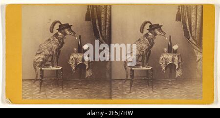 Il cane/cane jolly seduto su sgabello, con cappello, sigaro fumante. Attribuito a Peter F. Weil (americano, attivo New York, New York 1860 - 1870) Foto Stock