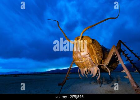 Borrego Springs, California. 23 marzo 2021. Una scultura di una locusta dell'artista messicano Ricardo Breceda durante un pomeriggio di primavera tempestoso. Foto Stock