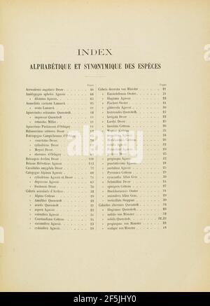 Pétrifications remarquables des Alpes suisses (pagina 123) Foto Stock