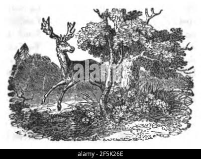 Raccolta di poesie in dialetto veneziano 1845 (pagina 144 raccolto). Foto Stock