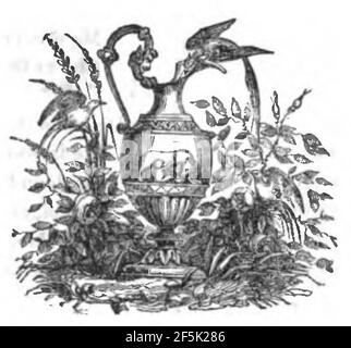 Raccolta di poesie in dialetto veneziano 1845 (pagina 493 raccolto). Foto Stock