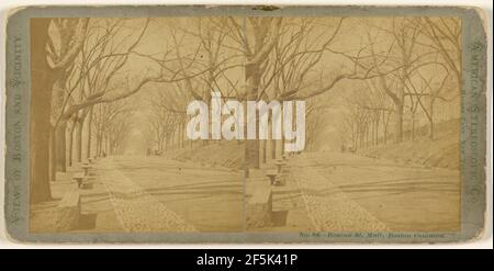 Beacon Street Mall, Boston Common. Compagnia stereoscopica americana Foto Stock