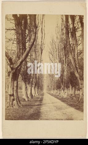 Avenue a Wollaton Hall. Lord Middleton vicino a Nottingham.. William Woodward (inglese, attivo Nottingham, Inghilterra 1850 - 1860) Foto Stock