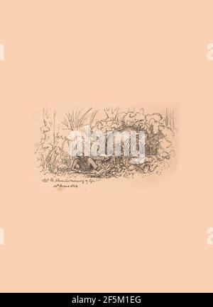 Record di sport in India meridionale Foto Stock