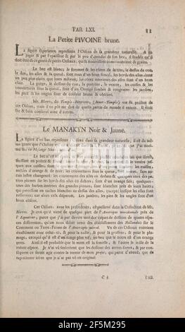 Recueil de divers oiseaux étrangers et peu communs (pagina 11) Foto Stock
